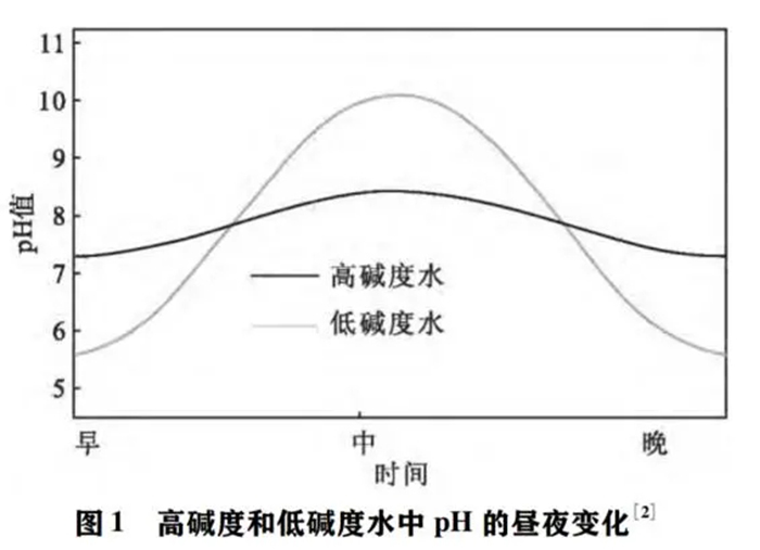 虾苗球盟会官网入口