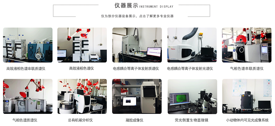 微生物球盟会官网入口