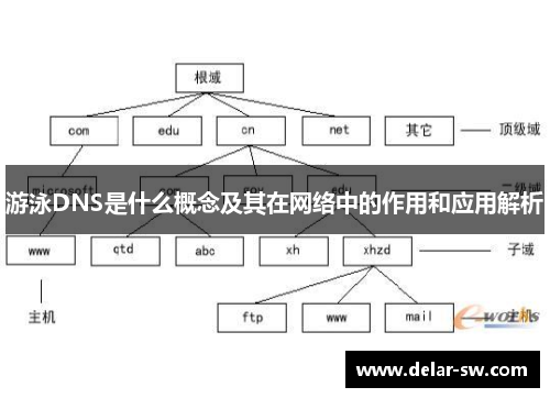 游泳DNS是什么概念及其在网络中的作用和应用解析