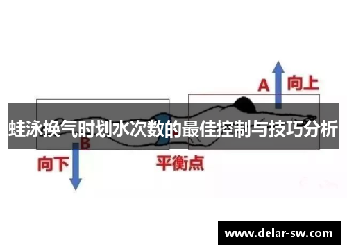 蛙泳换气时划水次数的最佳控制与技巧分析